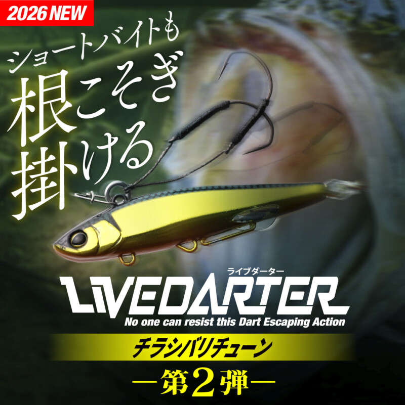LIVE DARTER チラシ針チューン