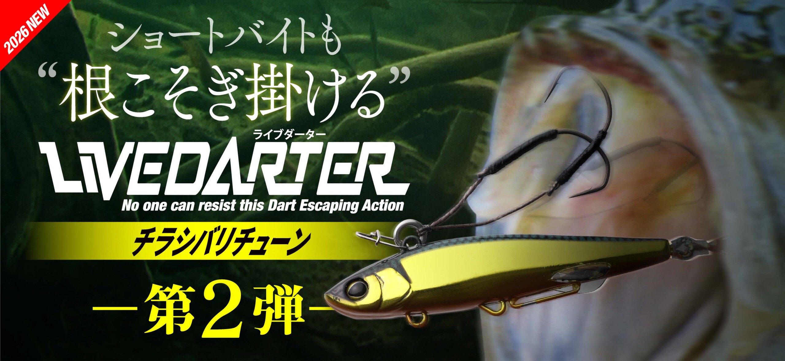 LIVE DARTER チラシ針チューン