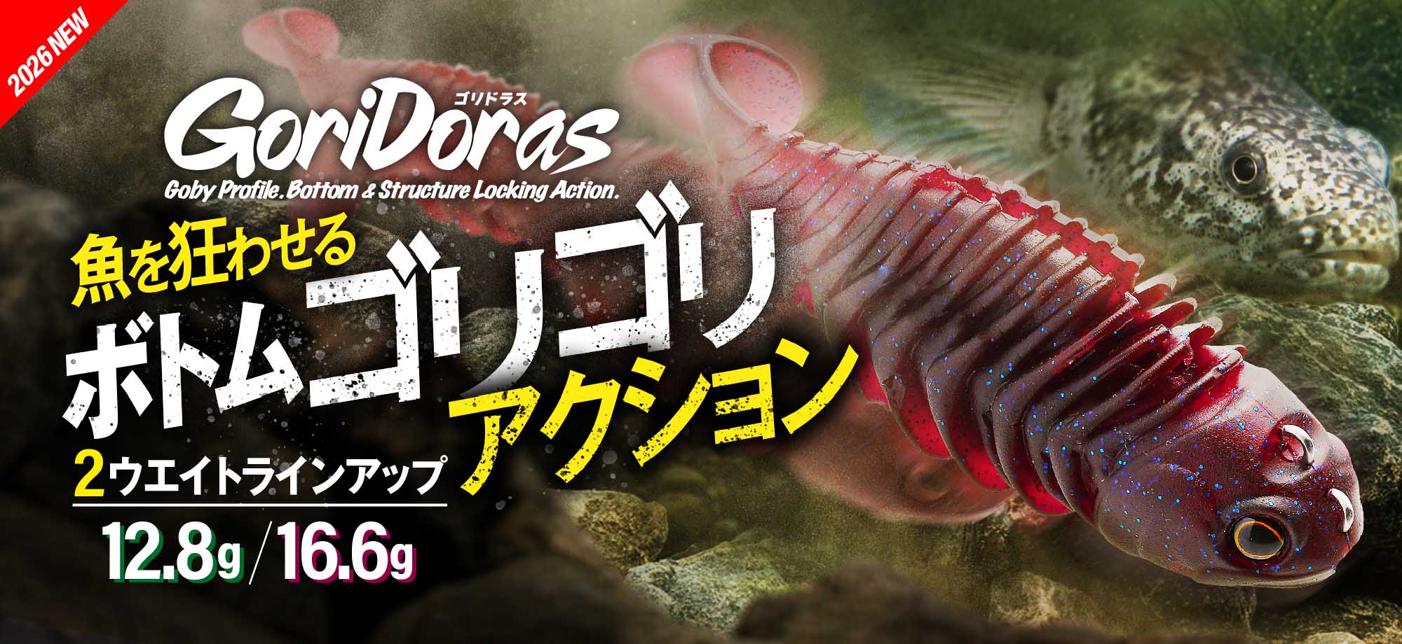 GORIDORAS