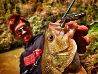 加木屋守プロによる野池攻略!