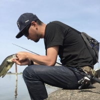 【BC-67ML】スモールプラグに最適な一本