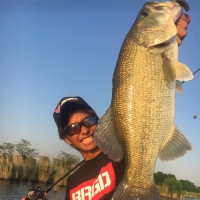 【BC-65M】まさにど真ん中!欠かせない一本!