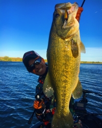 ライトプラッキングにおすすめのBC-67ML