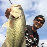 BC-67MH+の特徴がいきるコンパクトフロッグゲーム