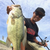 夏の霞水系におすすの一本