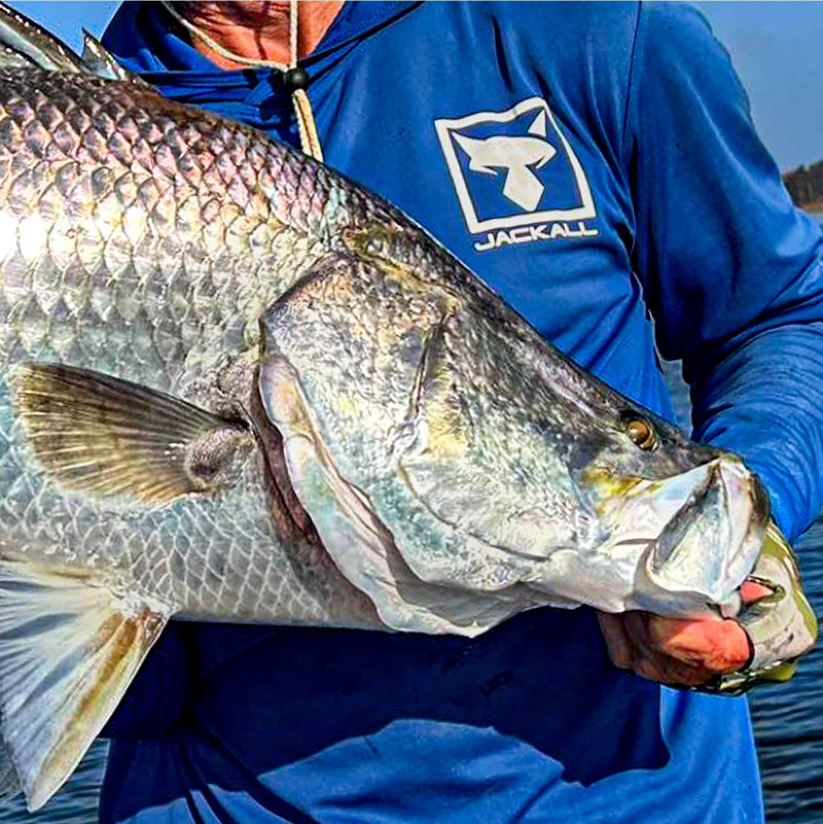 ジャッカル OVERSEA グローバル