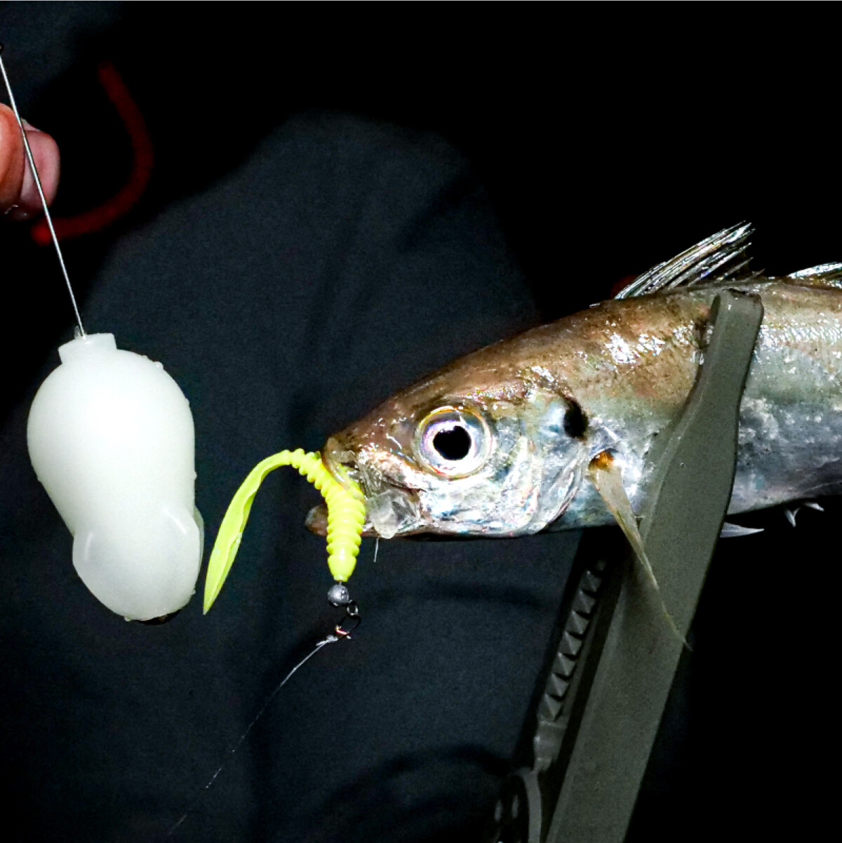 ジャッカル SALT SHORE 海釣り ショアキャスティング