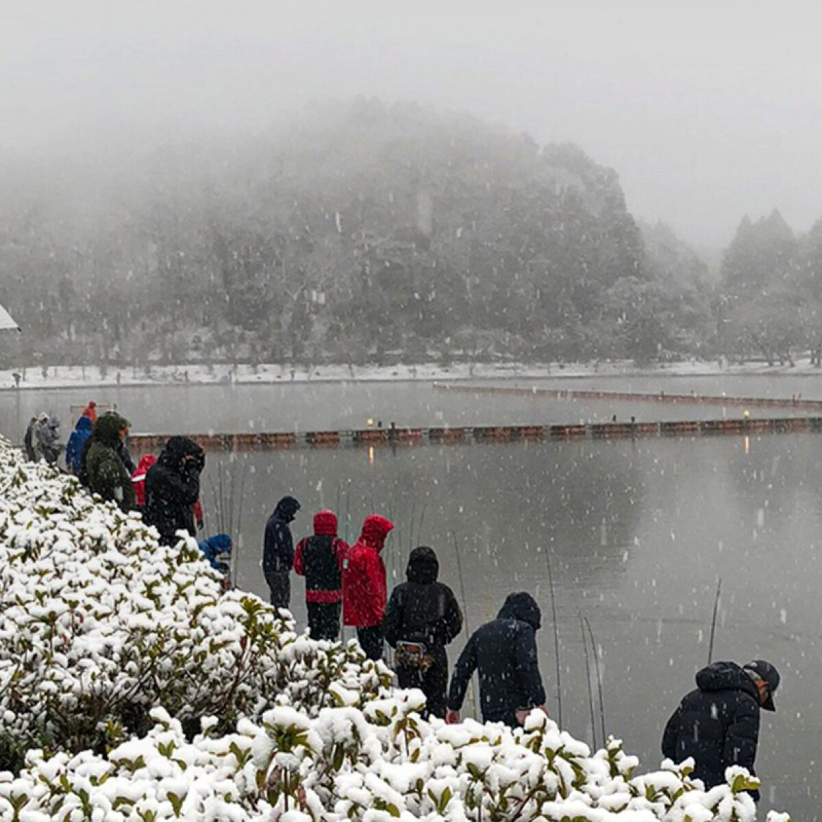 ジャッカル TROUT 鱒・トラウト釣り
