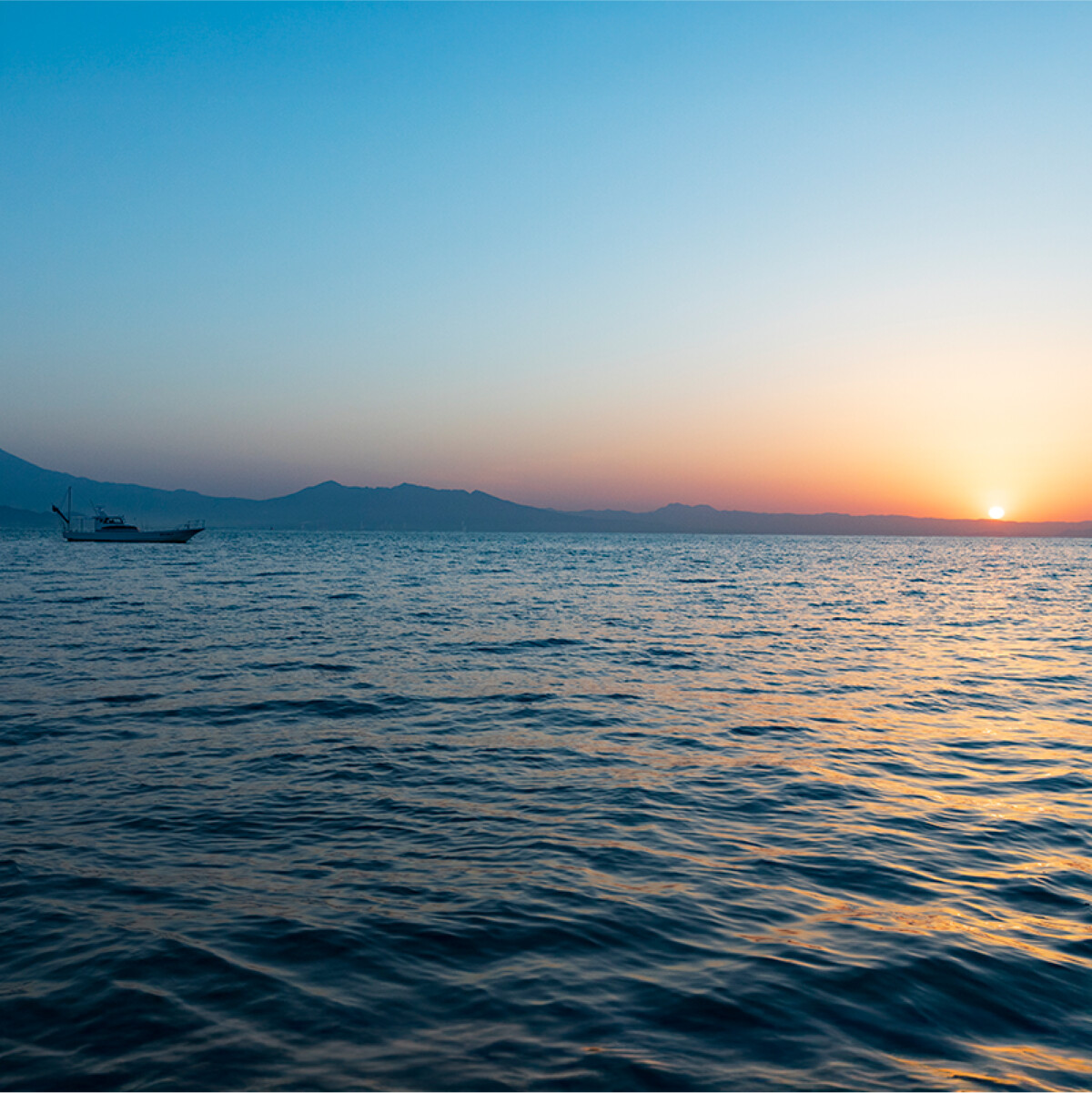 ジャッカル SALT OFFSHORE 海釣り オフショアキャスティング