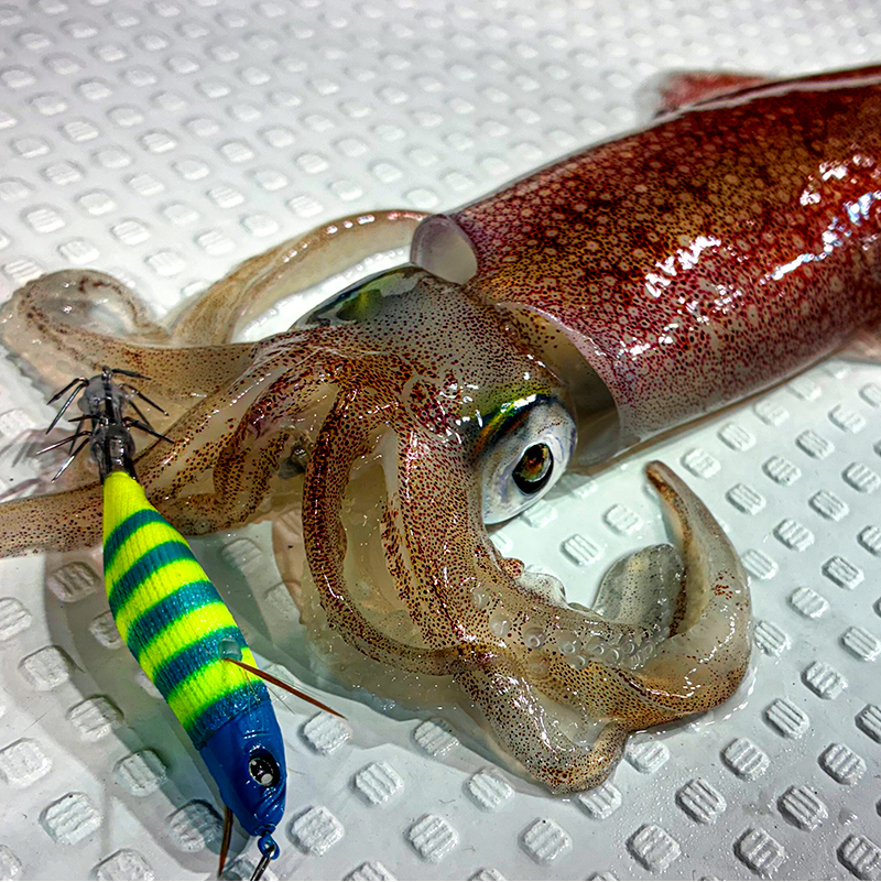 ジャッカル SALT OFFSHORE 海釣り オフショアキャスティング