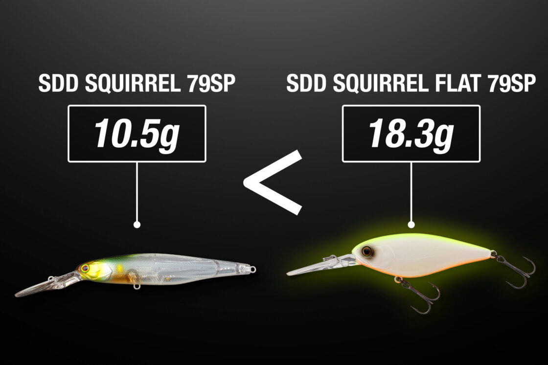  SDD SQUIRREL FLAT 79SP