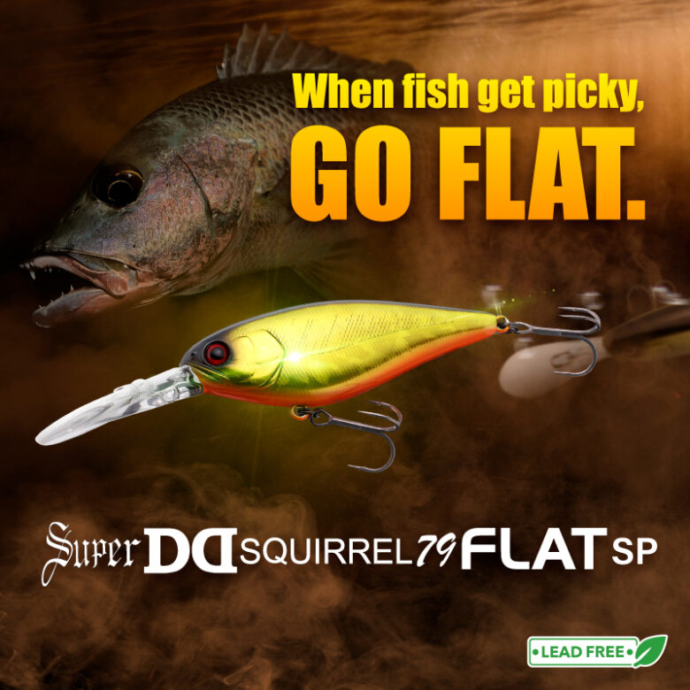 SDD SQUIRREL FLAT 79SP