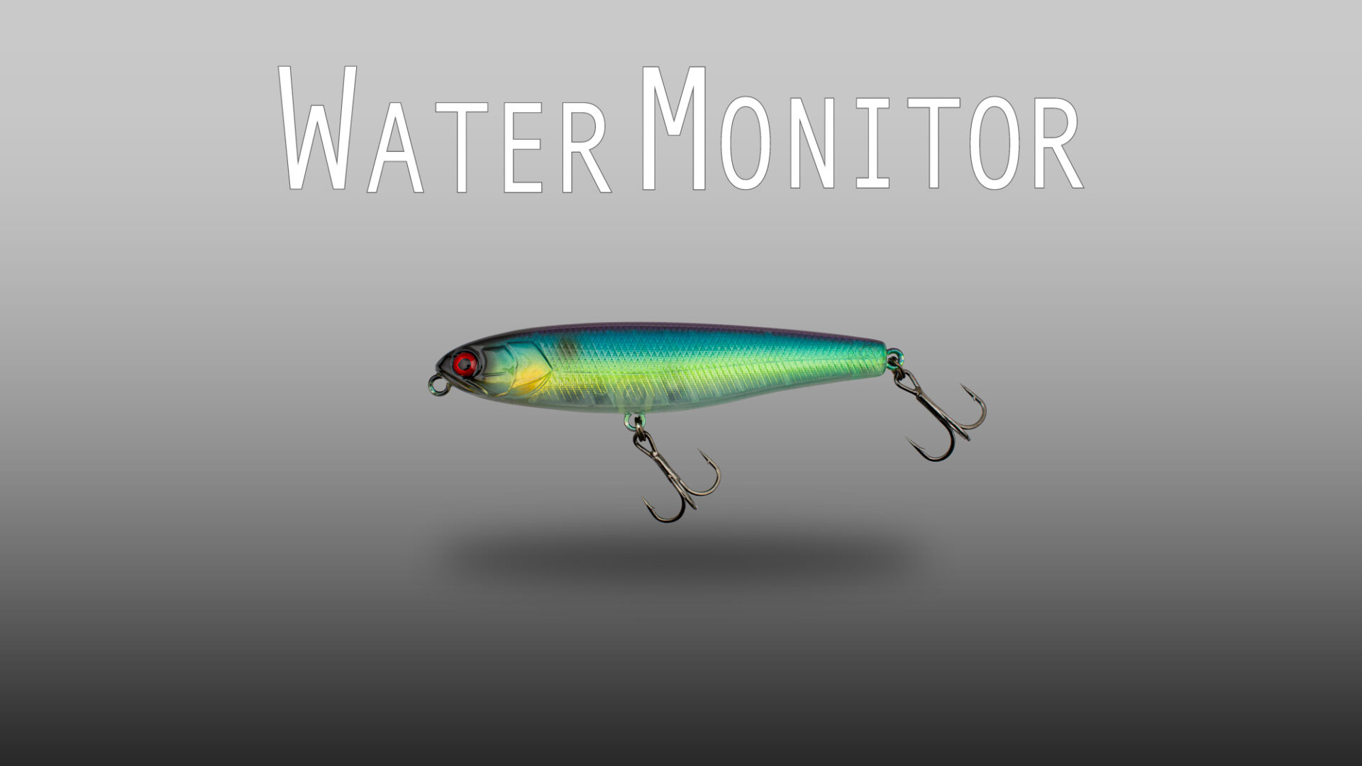 WATER MONITOR