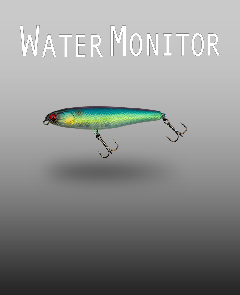 WATER MONITOR
