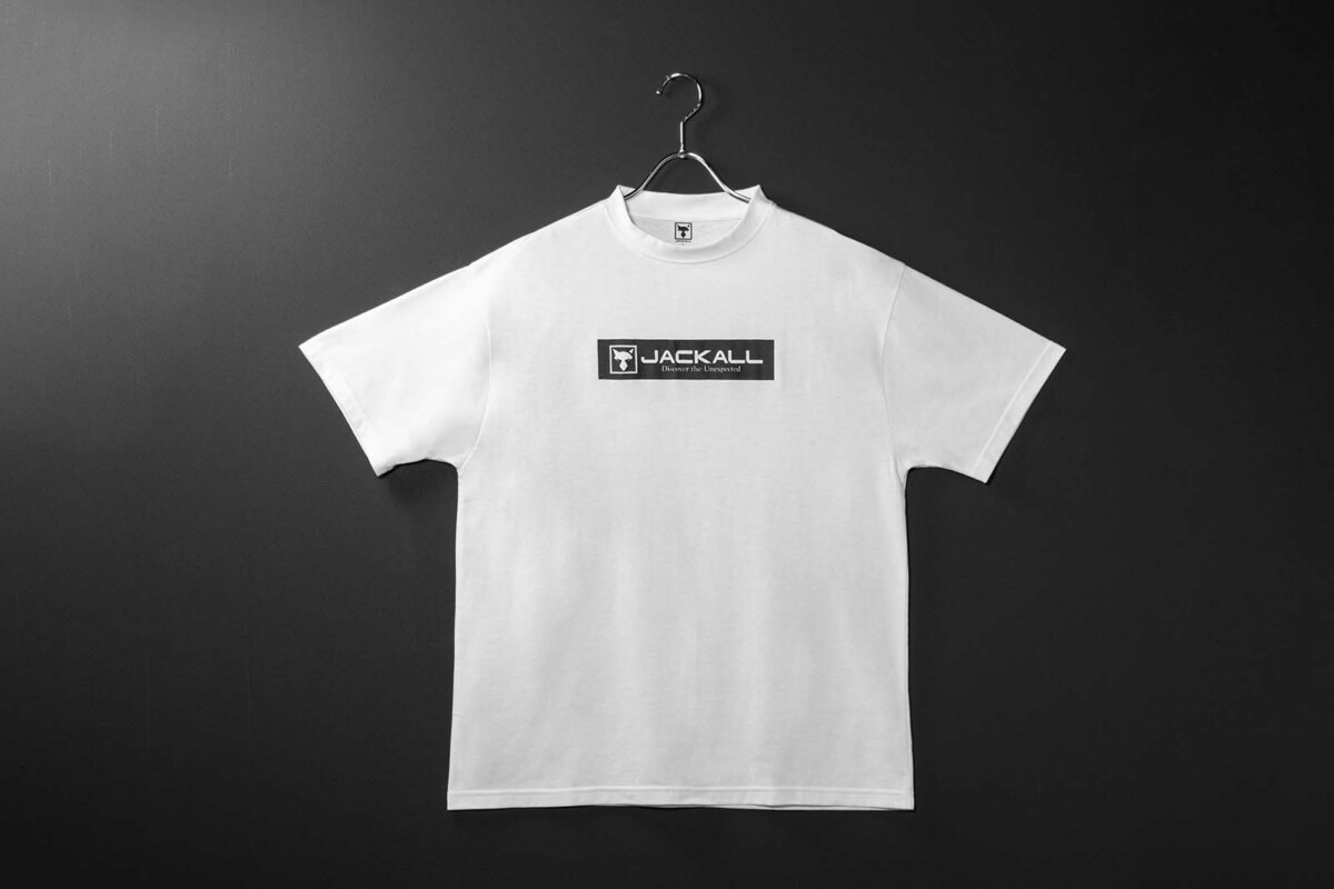 【ステューシー】正規・新品タグ　SSロゴ　ホワイト　L　Tシャツ