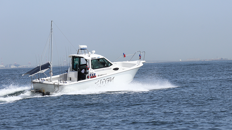 春の紀北エリアを賑わせる、シラス祭はアンチョピードで!