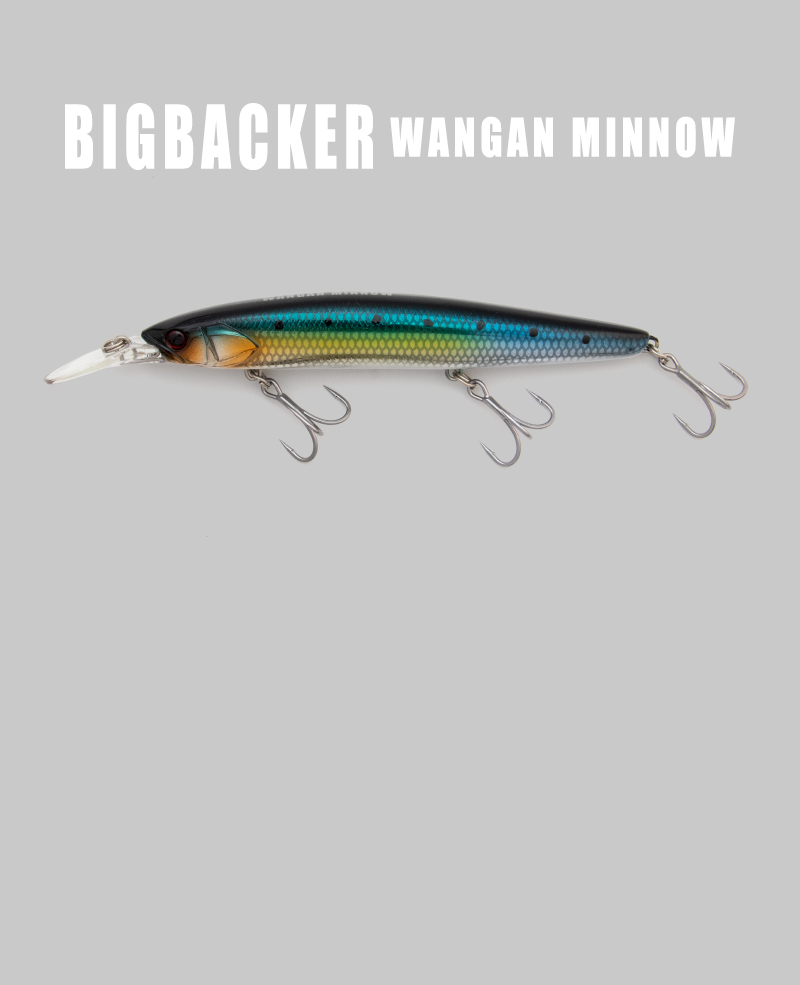 ビッグバッカーワンガンミノー 【2021 NEW MODEL】BIGBACKER WANGAN MINNOW / ビッグバッカー湾岸ミノー