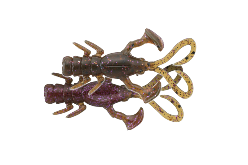 セクシーフナムシ