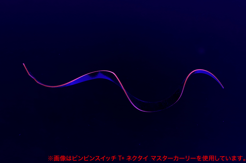 F-0384 オレッジエッジブラック
