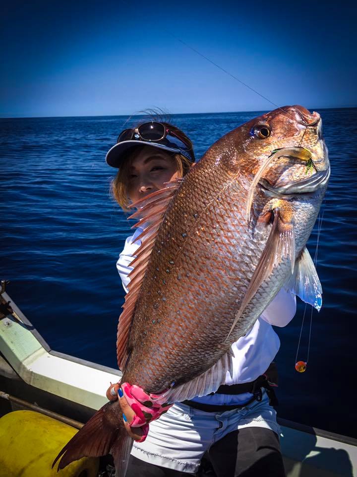 スルメデスで単日ハチマル3枚！