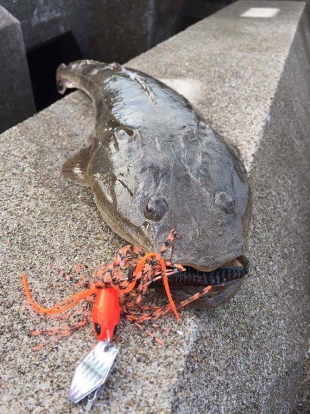 仙南フラットゲーム開幕！