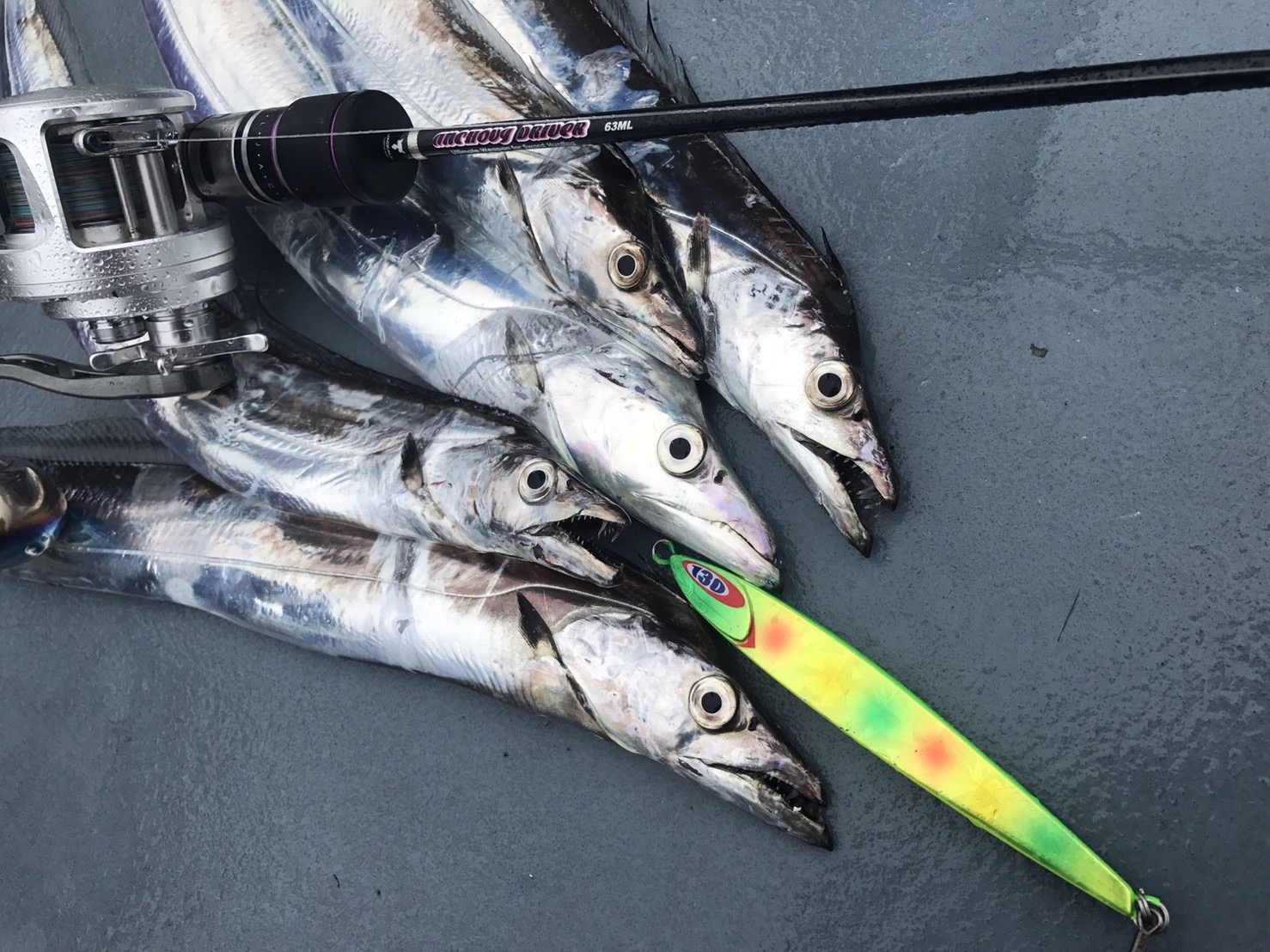 アンチョビメタルに新型登場！！ ＴＹＰＥ－？？？？