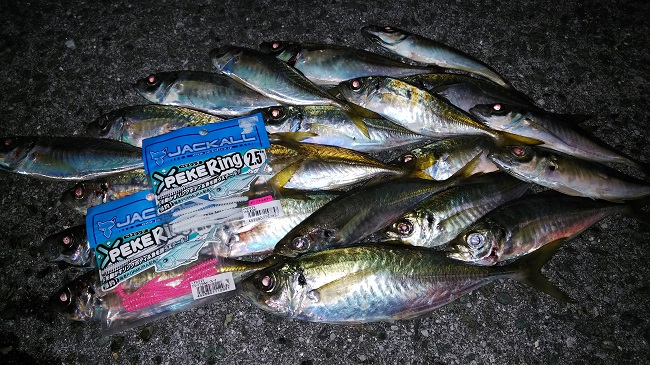 ベイト付きアジ