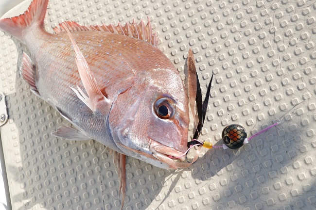 是非Wアピールを試してください！