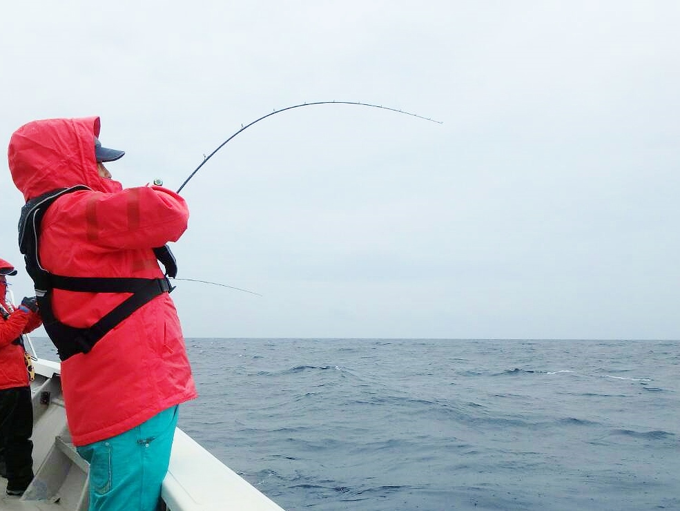 専用タックルでディープドテラを快適に