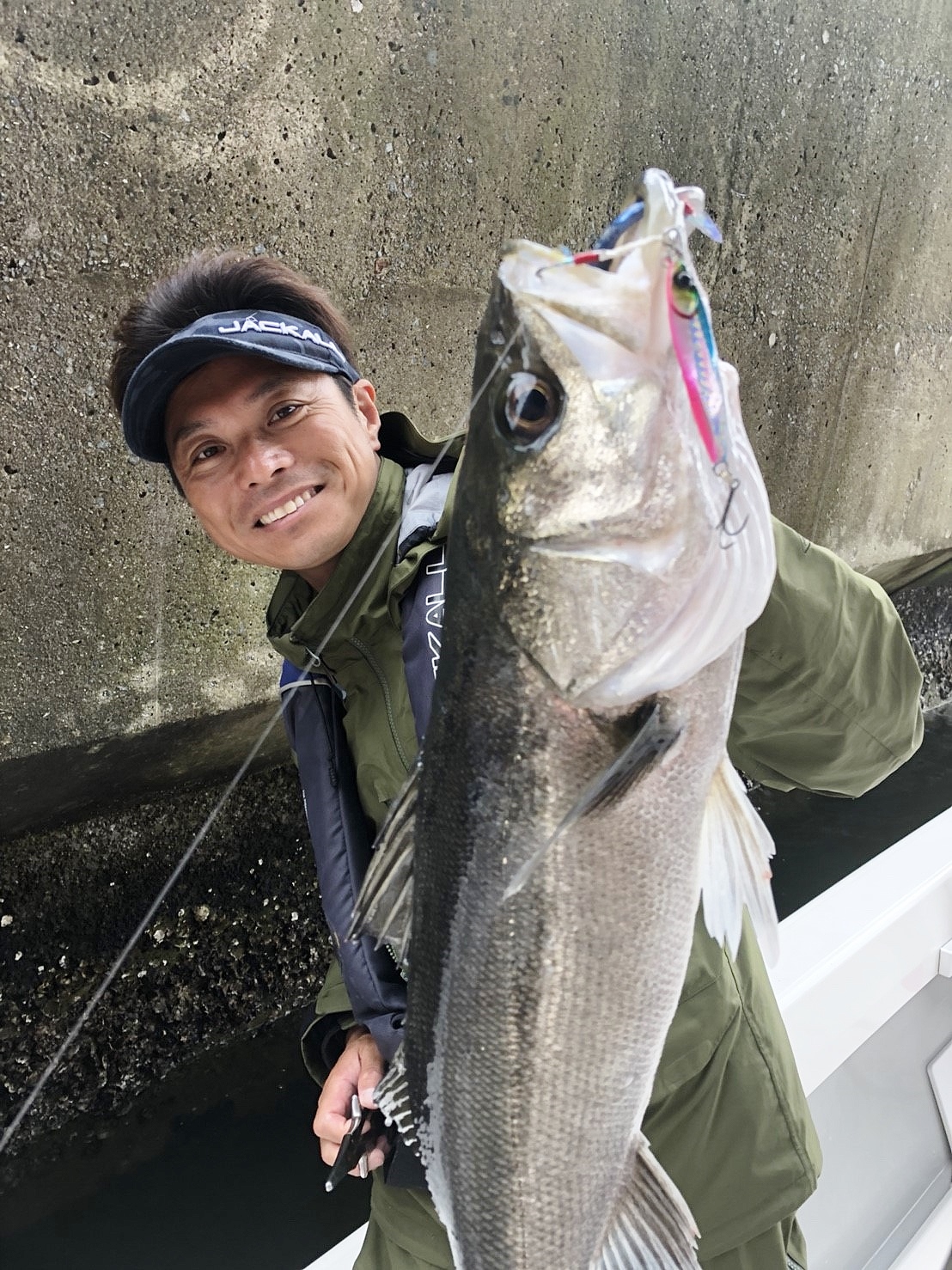 イワシの回遊で高活性モード突入