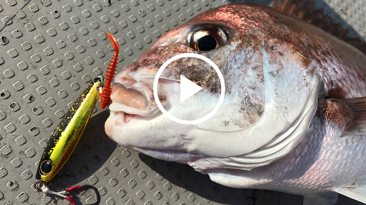 [Sea bream jigging] Free retrieving for anyone! Catch sea bream with a metal jig! / BIBINMETAL TG