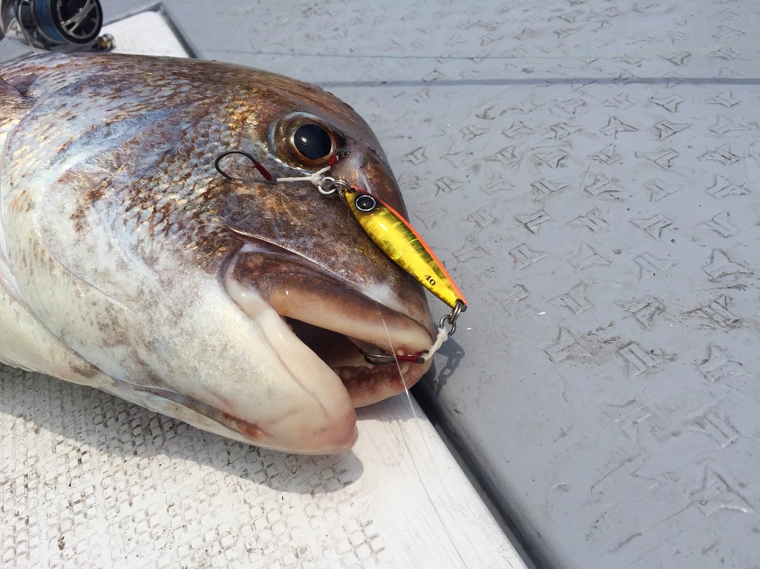 BIN-BIN SALT 瀬戸内マダイ