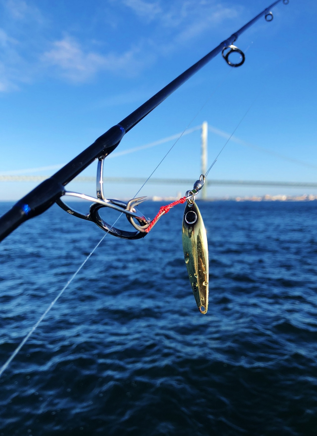 ビンビンメタルtgが連日好釣果 Salt Water 海釣り Jackall ジャッカル ルアー