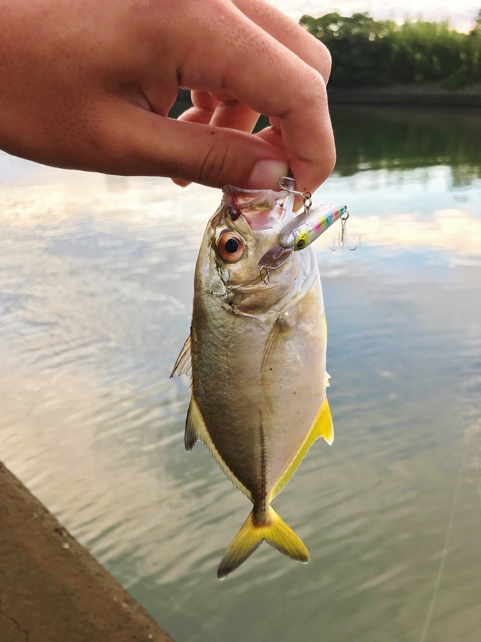 ライザーベイトでメッキゲーム