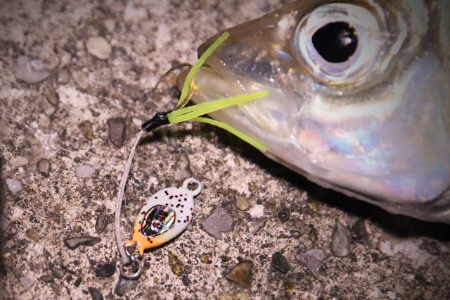 アジング専用設計メタルジグ・NANO DROP