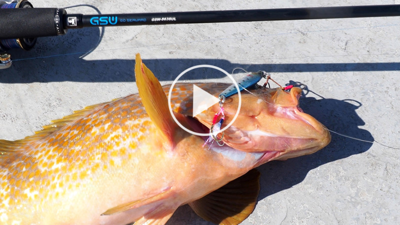 【スーパーライトジギング】様々な魚種がターゲット。ライトタックルで手軽に狙えるSLJとは？ ~九州実釣編~