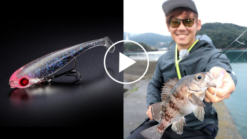 [Rockfish] 10 times more fun on day and night. Rockfish game in Amakusa, Kumamoto / DAIGO SUGIYAMA