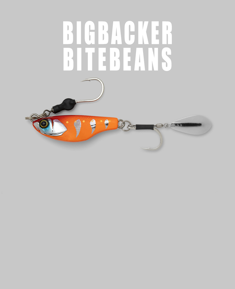 ビッグバッカーバイトビーンズ BIGBACKER BITEBEANS