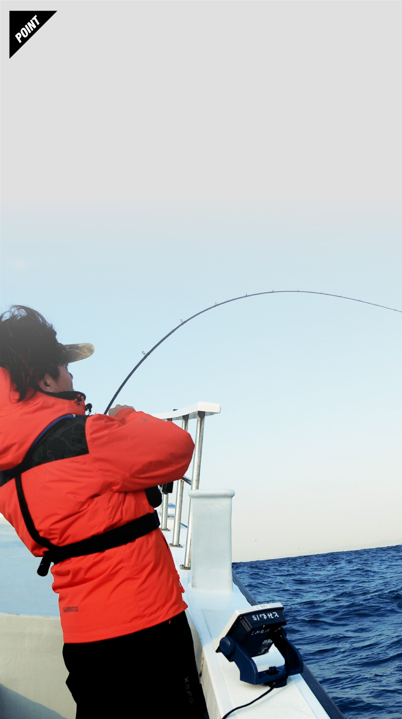 釣り ロッド、釣り竿 BINBIN STICK HS / ビンビンスティックHS - SALT WATER 海釣り 