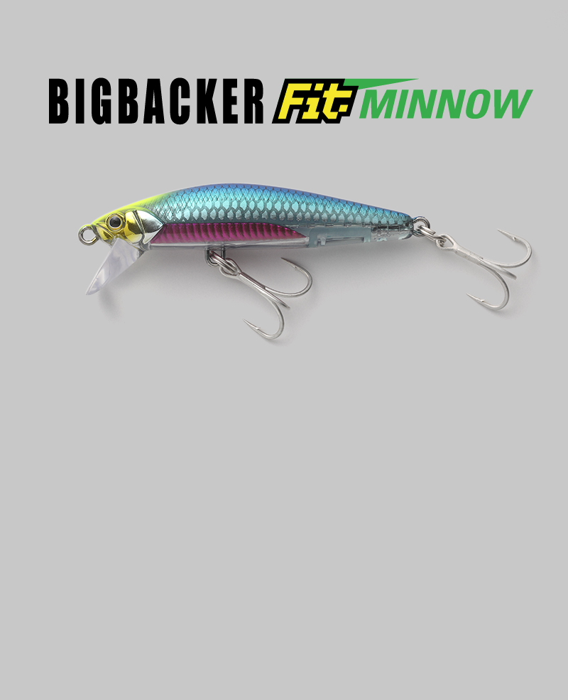 Bigbacker Fit Minnow ビッグバッカーフィットミノー Salt Water 海釣り Jackall ジャッカル ルアー