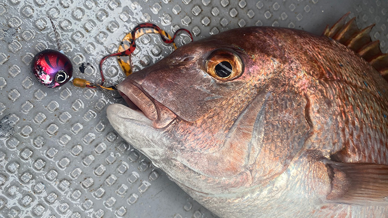 冬の繊細なタイラバでスキルアップ！！ /田邊義雄