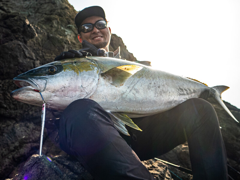 Catch a giant amberjack in the Goto Islands in spring ￼
