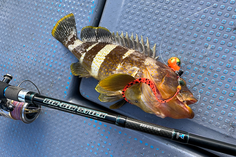 ビンビンスイッチで多魚種を狙う / 鈴木洋太郎 - SALT WATER 海