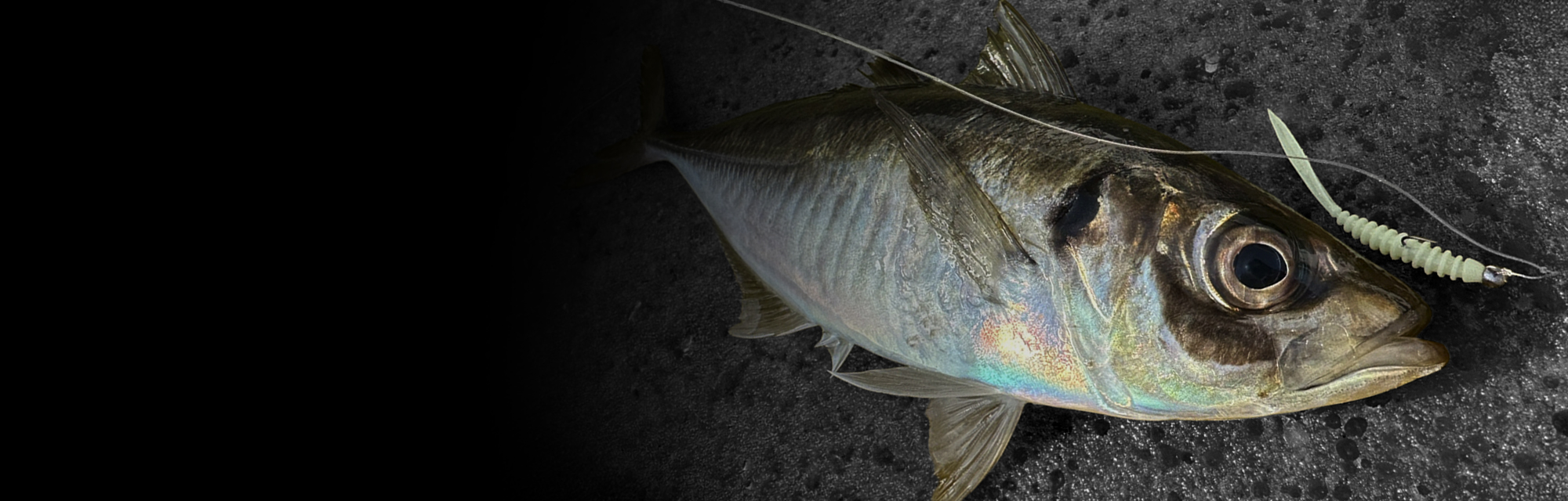 LGヘッド タイプ SWIM 太軸 LG HEAD Type SWIM 太軸 