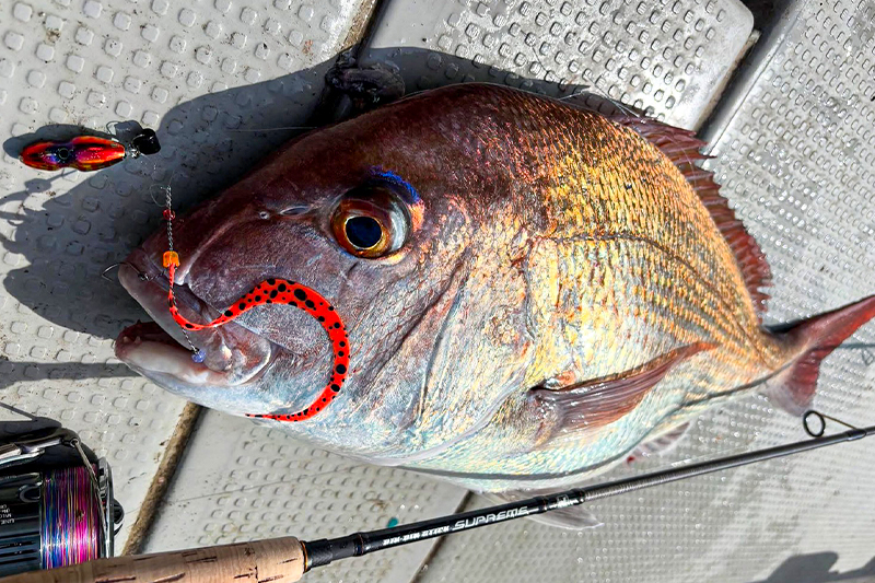 青物ファイターも登場！平舘SEA CLUB実釣レポート/根元 陽介