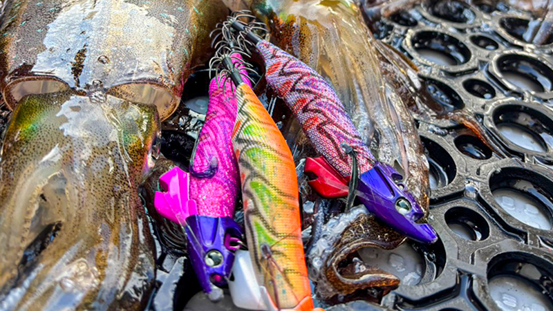 「ゲキダキTR」で半日40杯!鯵ヶ沢ティップラン好釣レポート/根元陽介