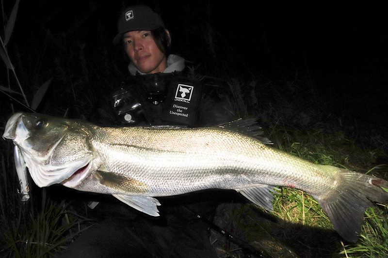 ハグレシリーズで初秋の利根川シーバス攻略/佐藤雅樹