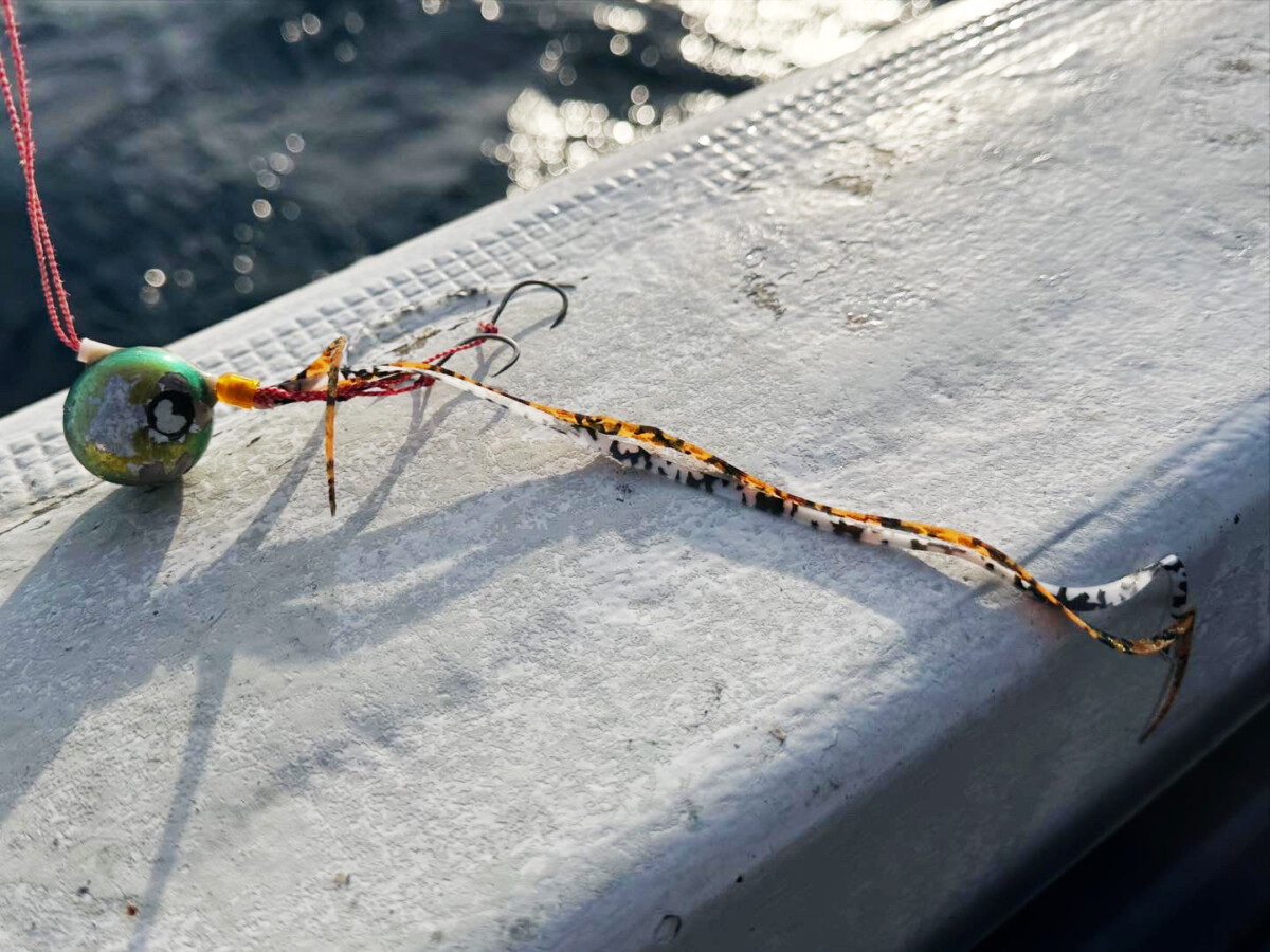 苦戦続きの山陰タイラバで頼れた「ファインフィネス」/松本裕之
