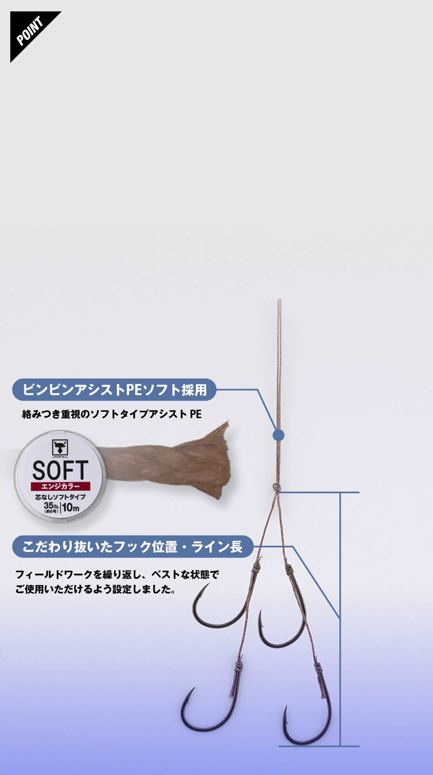 BINBIN HOOK SOUHA ASSISTPLUS ビンビンフック 蒼刃 アシストプラス 