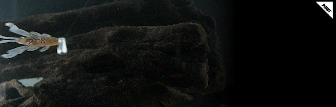 BLEEKER CHOP SNACK 2″/2.7″ ブリーカー チョップスナック 2″/2.7″